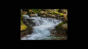 Multnomah Creek